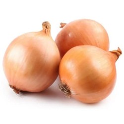 Piyoz