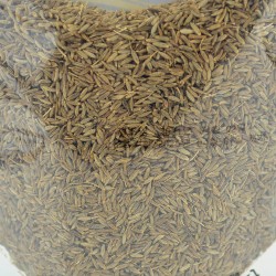 Gloland Cumin Whole (200g)