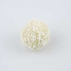 Raffaello