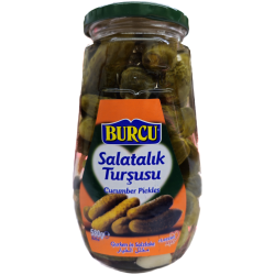 Salted Cucumbers (580g)