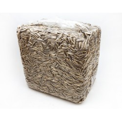 Sunflower seeds (5kg)